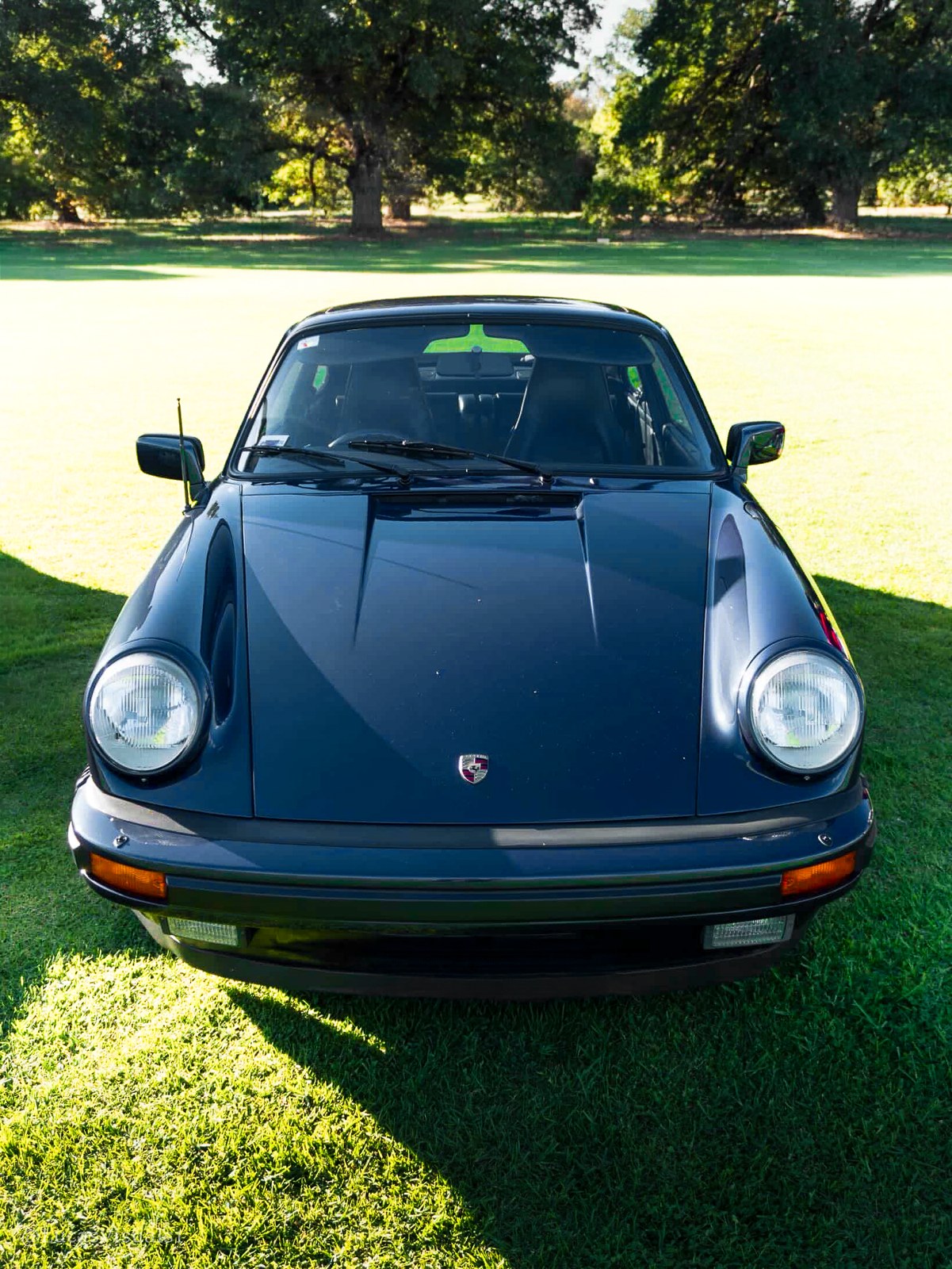 Classic dark green Porsche 911 parked on grass