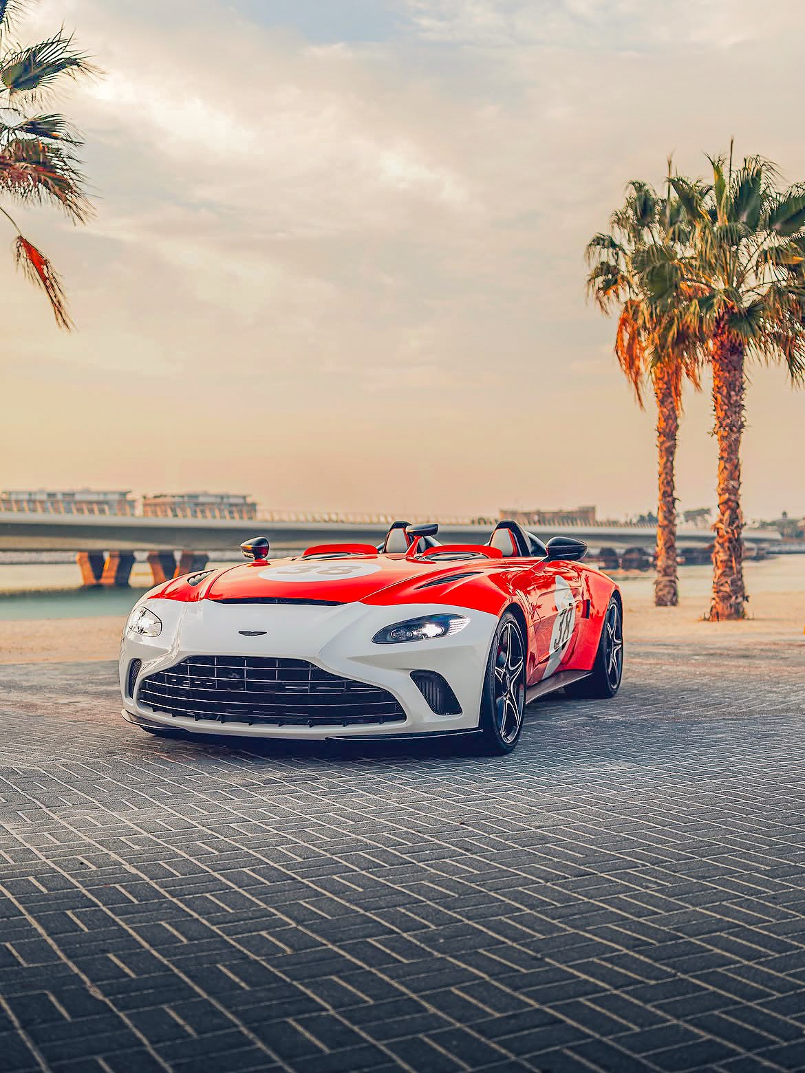White Aston Martin among palm trees at sunset